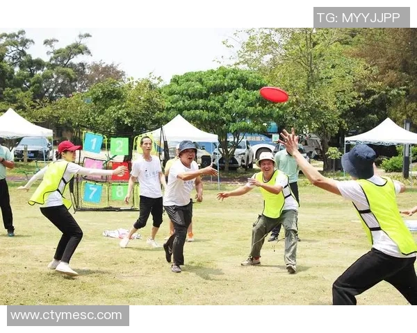 深圳飞盘队状态引发热议球迷对表现褒贬不一的背后故事